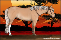 Horse Color:Silver Bay Dun 