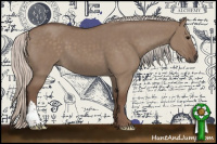 Horse Color:Silver Grullo 