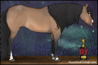 Horse Color:Bay Dun Sabino 