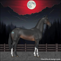Horse Color:Brown Tobiano
