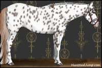 Horse Color:Liver Red Roan Tobiano Leopard 
