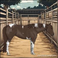 Horse Color:Liver Chestnut Tobiano 