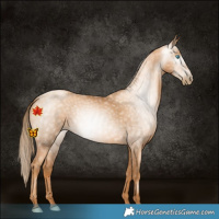Horse Color:Gray Gold Champagne Pearl 