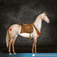 Horse Color:Gray Gold Champagne