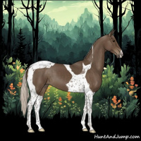 Horse Color:Silver Smoky Black Tobiano 