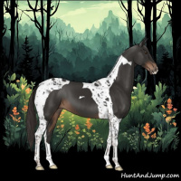 Horse Color:Liver Chestnut Tobiano