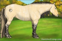 Horse Color:Buckskin Roan Pearl and Buckskin Roan