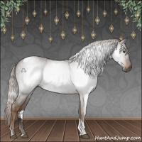 Horse Color:Gray Chocolate Palomino Tobiano 