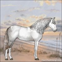 Horse Color:Gray Chocolate Palomino Tobiano 