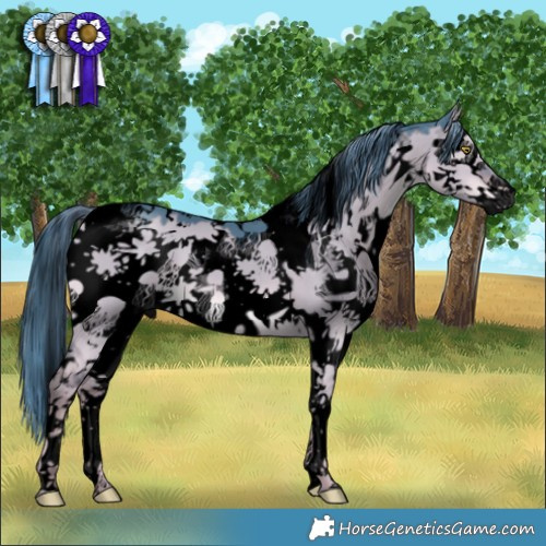 Horse Color:Void Watercolor Liver Red Dun Splash Tobiano 