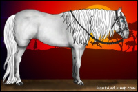 Horse Color:Gray Smoky Creme Splash 