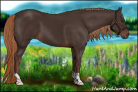 Horse Color:Liver Chestnut Tobiano