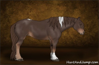 Horse Color:Liver Chestnut Tobiano 