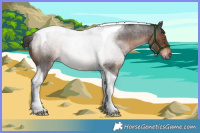 Horse Color:Liver Red Roan Tobiano