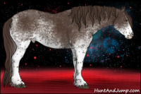 Horse Color:White Spotted Liver Chestnut Tobiano 
