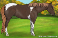 Horse Color:Liver Chestnut Tobiano 