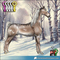 Horse Color:White Spotted Liver Red Dun Mushroom