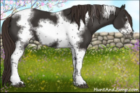 Horse Color:Liver Chestnut Tobiano Frame 