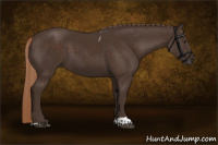 Horse Color:Liver Chestnut Tobiano 