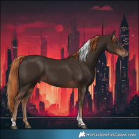 Horse Color:Liver Chestnut Tobiano