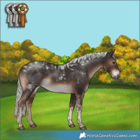 Horse Color:Liver Chestnut Mushroom Tobiano