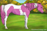 Horse Color:Watercolor Chestnut Tobiano 