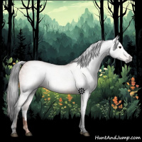 Horse Color:Gray Bay