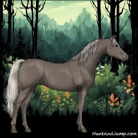 Horse Color:Silver Black 