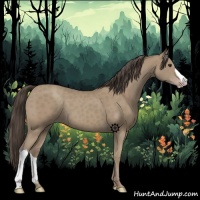 Horse Color:Classic Champagne 