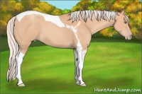 Horse Color:Silver Amber Champagne Tobiano 
