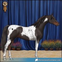 Horse Color:Liver Chestnut Tobiano 