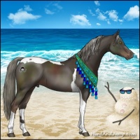 Horse Color:Liver Chestnut Mushroom Tobiano 