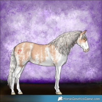 Horse Color:White Spotted Silver Classic Champagne 