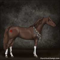 Horse Color:Liver Chestnut Tobiano 