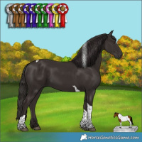 Horse Color:Liver Chestnut Tobiano 