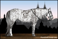 Horse Color:Smoky Black  and Gray Smoky Black 
