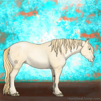 Horse Color:Buckskin Pearl 