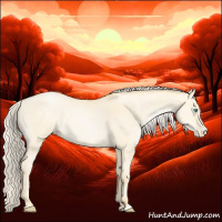 Horse Color:Palomino Pearl Dun 