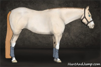 Horse Color:Buckskin Roan Pearl 