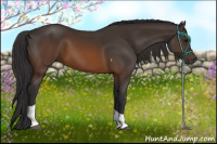 Horse Color:Buckskin Tobiano 