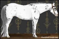 Horse Color:Brown Sabino
