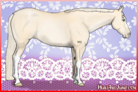 Horse Color:Palomino Pearl 