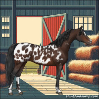 Horse Color:Brown Sabino Appaloosa 