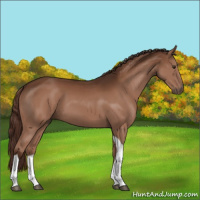 Horse Color:Liver Chestnut Tobiano 