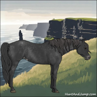 Horse Color:Black Appaloosa Rabicano 