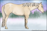 Horse Color:Palomino Pearl 