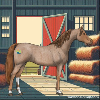 Horse Color:Red Roan 