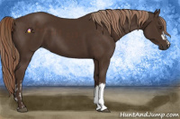 Horse Color:Liver Chestnut  and Liver Chestnut 