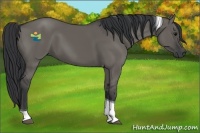 Horse Color:Grullo Tobiano 