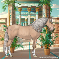Horse Color:Silver Classic Champagne 